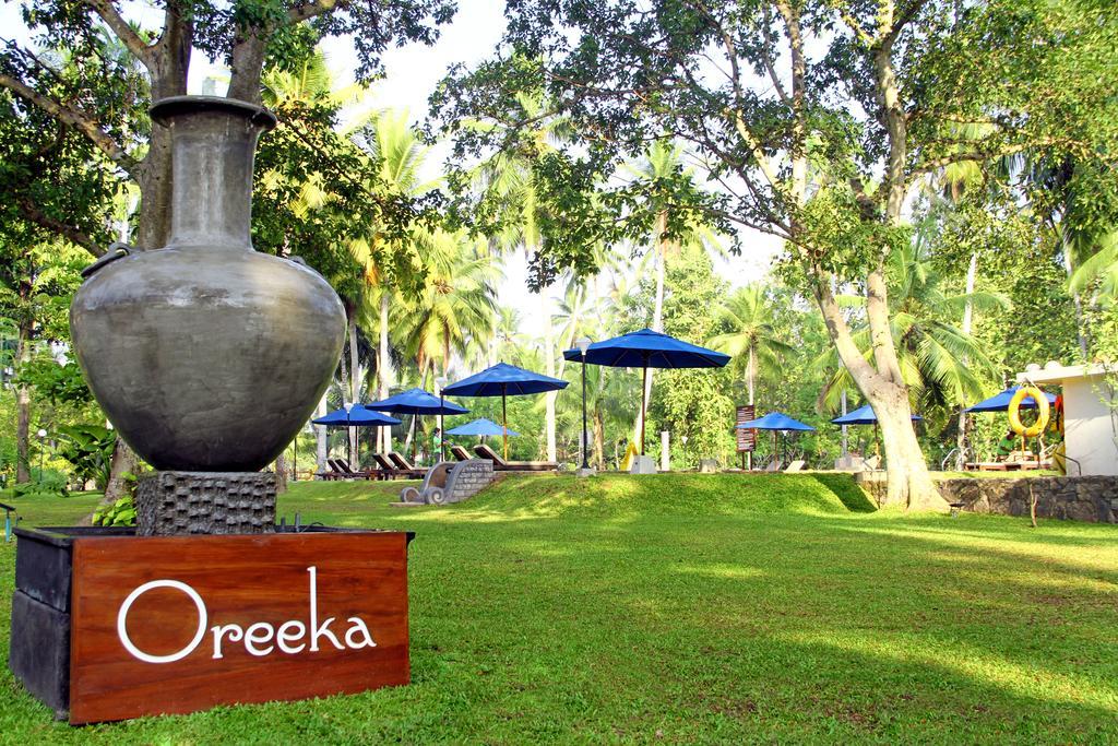 Oreeka - Katunayake Airport Transit Hotels Εξωτερικό φωτογραφία